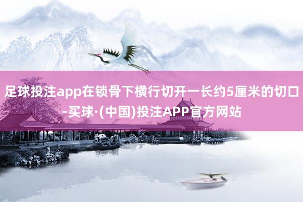 足球投注app在锁骨下横行切开一长约5厘米的切口-买球·(中国)投注APP官方网站