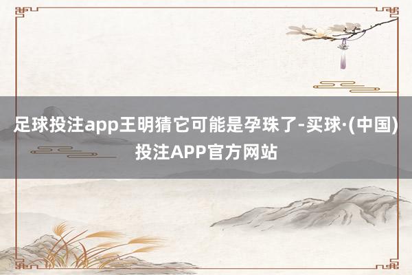 足球投注app王明猜它可能是孕珠了-买球·(中国)投注APP官方网站