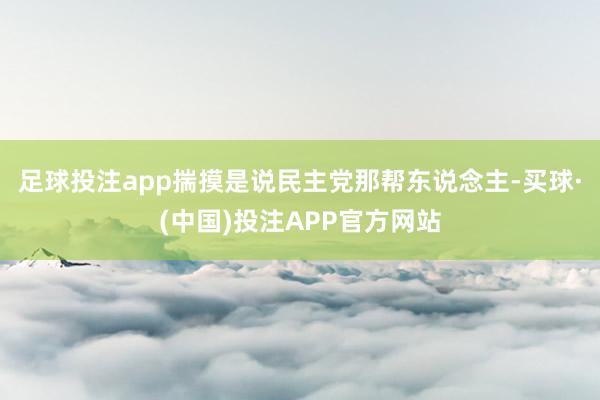 足球投注app揣摸是说民主党那帮东说念主-买球·(中国)投注APP官方网站
