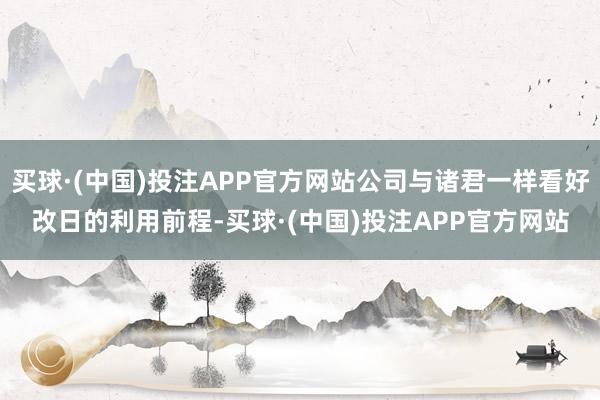 买球·(中国)投注APP官方网站公司与诸君一样看好改日的利用前程-买球·(中国)投注APP官方网站