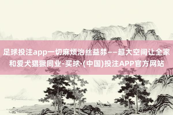足球投注app一切麻烦治丝益棼——超大空间让全家和爱犬猖獗同业-买球·(中国)投注APP官方网站