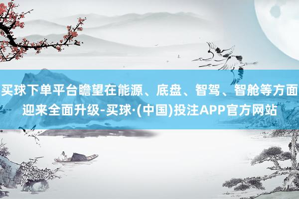 买球下单平台瞻望在能源、底盘、智驾、智舱等方面迎来全面升级-买球·(中国)投注APP官方网站