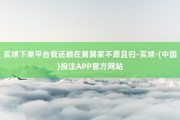 买球下单平台我还赖在舅舅家不愿且归-买球·(中国)投注APP官方网站