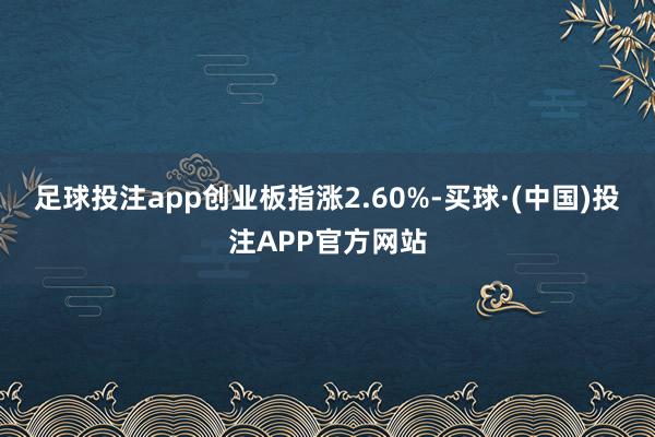 足球投注app创业板指涨2.60%-买球·(中国)投注APP官方网站