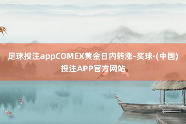 足球投注appCOMEX黄金日内转涨-买球·(中国)投注APP官方网站