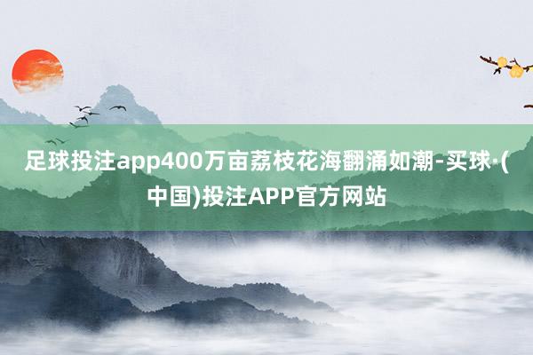 足球投注app400万亩荔枝花海翻涌如潮-买球·(中国)投注APP官方网站