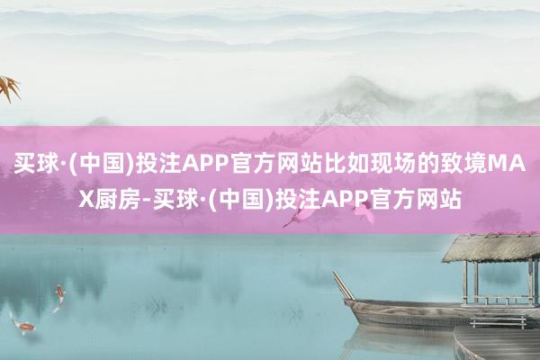 买球·(中国)投注APP官方网站比如现场的致境MAX厨房-买球·(中国)投注APP官方网站