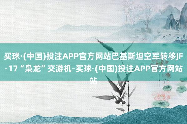 买球·(中国)投注APP官方网站巴基斯坦空军转移JF-17“枭龙”交游机-买球·(中国)投注APP官方网站