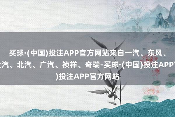 买球·(中国)投注APP官方网站来自一汽、东风、长安、上汽、北汽、广汽、祯祥、奇瑞-买球·(中国)投注APP官方网站