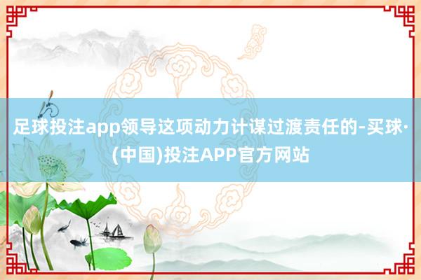 足球投注app领导这项动力计谋过渡责任的-买球·(中国)投注APP官方网站
