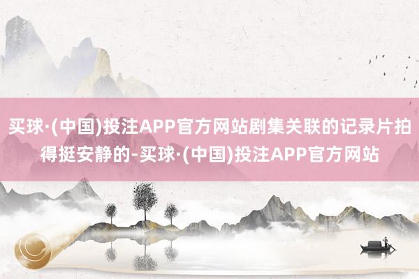 买球·(中国)投注APP官方网站剧集关联的记录片拍得挺安静的-买球·(中国)投注APP官方网站