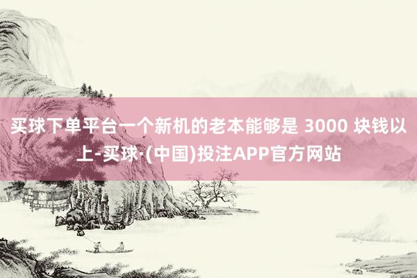 买球下单平台一个新机的老本能够是 3000 块钱以上-买球·(中国)投注APP官方网站