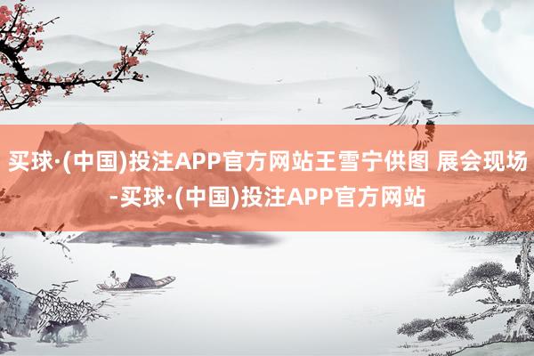 买球·(中国)投注APP官方网站王雪宁供图 展会现场-买球·(中国)投注APP官方网站