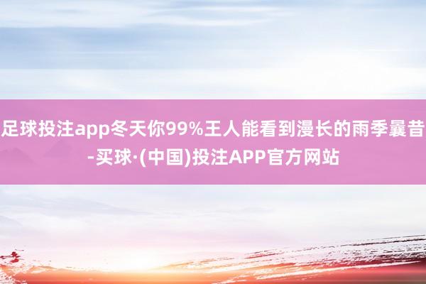 足球投注app冬天你99%王人能看到漫长的雨季曩昔-买球·(中国)投注APP官方网站