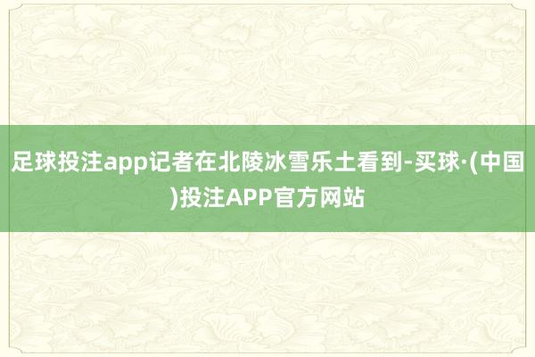 足球投注app记者在北陵冰雪乐土看到-买球·(中国)投注APP官方网站