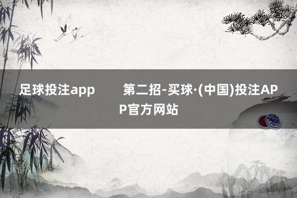 足球投注app        第二招-买球·(中国)投注APP官方网站