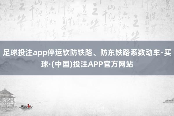 足球投注app停运钦防铁路、防东铁路系数动车-买球·(中国)投注APP官方网站