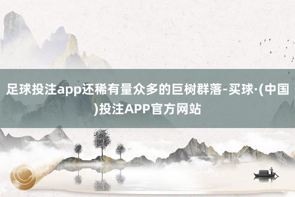 足球投注app还稀有量众多的巨树群落-买球·(中国)投注APP官方网站