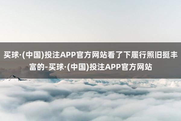 买球·(中国)投注APP官方网站看了下履行照旧挺丰富的-买球·(中国)投注APP官方网站