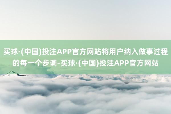 买球·(中国)投注APP官方网站将用户纳入做事过程的每一个步调-买球·(中国)投注APP官方网站