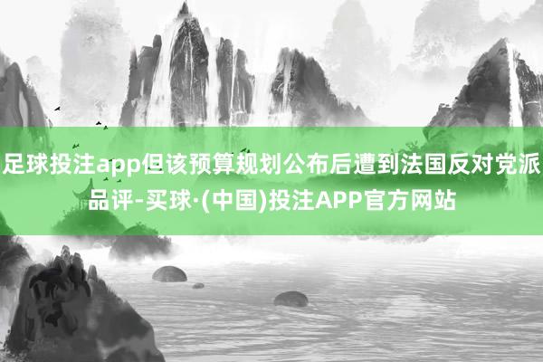 足球投注app但该预算规划公布后遭到法国反对党派品评-买球·(中国)投注APP官方网站