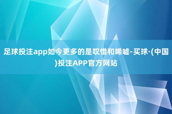 足球投注app如今更多的是叹惜和唏嘘-买球·(中国)投注APP官方网站