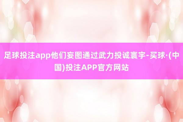 足球投注app他们妄图通过武力投诚寰宇-买球·(中国)投注APP官方网站