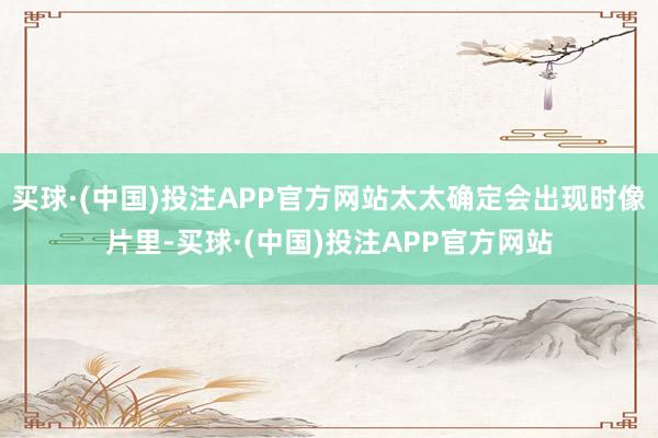 买球·(中国)投注APP官方网站太太确定会出现时像片里-买球·(中国)投注APP官方网站