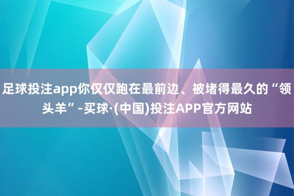 足球投注app你仅仅跑在最前边、被堵得最久的“领头羊”-买球·(中国)投注APP官方网站