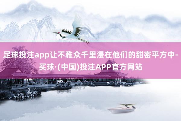 足球投注app让不雅众千里浸在他们的甜密平方中-买球·(中国)投注APP官方网站