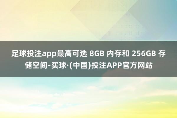 足球投注app最高可选 8GB 内存和 256GB 存储空间-买球·(中国)投注APP官方网站