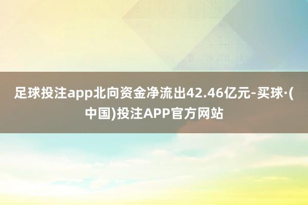 足球投注app北向资金净流出42.46亿元-买球·(中国)投注APP官方网站