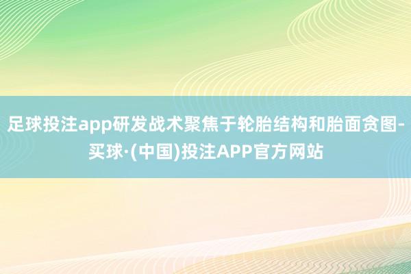足球投注app研发战术聚焦于轮胎结构和胎面贪图-买球·(中国)投注APP官方网站