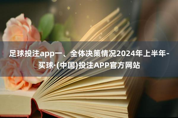 足球投注app 一、全体决策情况 2024年上半年-买球·(中国)投注APP官方网站