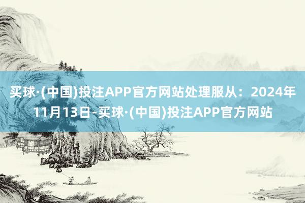 买球·(中国)投注APP官方网站处理服从:2024年11月13日-买球·(中国)投注APP官方网站