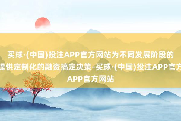 买球·(中国)投注APP官方网站为不同发展阶段的企业提供定制化的融资搞定决策-买球·(中国)投注APP官方网站