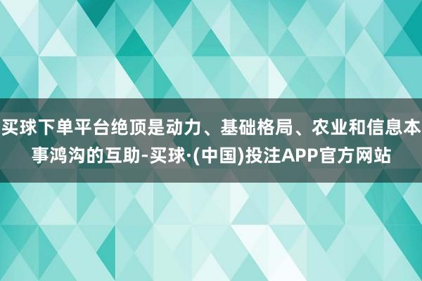 买球下单平台绝顶是动力、基础格局、农业和信息本事鸿沟的互助-买球·(中国)投注APP官方网站