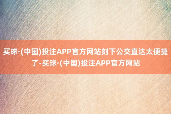 买球·(中国)投注APP官方网站刻下公交直达太便捷了-买球·(中国)投注APP官方网站