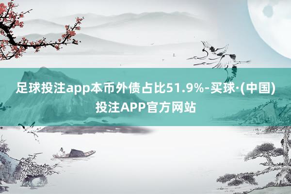 足球投注app本币外债占比51.9%-买球·(中国)投注APP官方网站