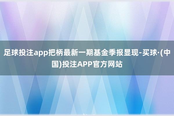 足球投注app把柄最新一期基金季报显现-买球·(中国)投注APP官方网站