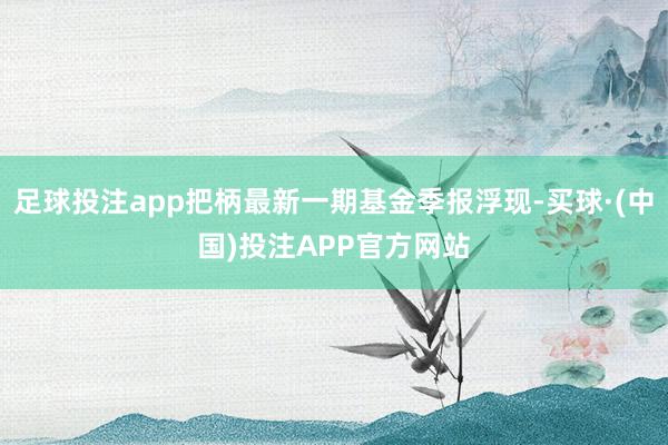 足球投注app把柄最新一期基金季报浮现-买球·(中国)投注APP官方网站