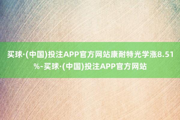 买球·(中国)投注APP官方网站康耐特光学涨8.51%-买球·(中国)投注APP官方网站