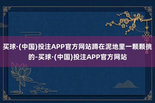 买球·(中国)投注APP官方网站蹲在泥地里一颗颗挑的-买球·(中国)投注APP官方网站