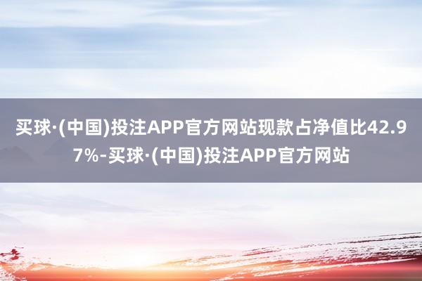 买球·(中国)投注APP官方网站现款占净值比42.97%-买球·(中国)投注APP官方网站