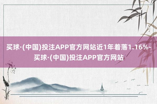 买球·(中国)投注APP官方网站近1年着落1.16%-买球·(中国)投注APP官方网站