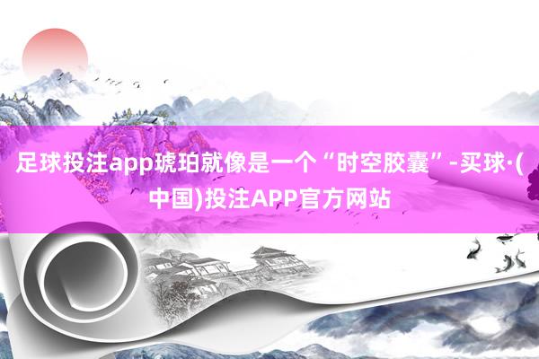 足球投注app琥珀就像是一个“时空胶囊”-买球·(中国)投注APP官方网站