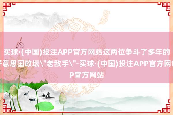 买球·(中国)投注APP官方网站这两位争斗了多年的好意思国政坛＂老敌手＂-买球·(中国)投注APP官方网站