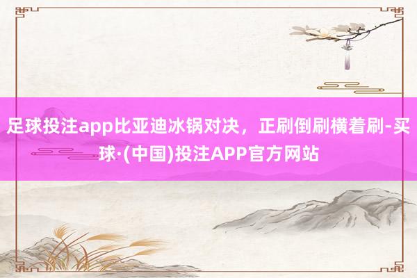 足球投注app比亚迪冰锅对决，正刷倒刷横着刷-买球·(中国)投注APP官方网站