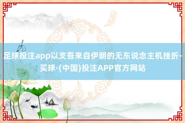 足球投注app以支吾来自伊朗的无东说念主机挫折-买球·(中国)投注APP官方网站