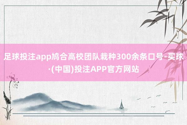足球投注app鸠合高校团队栽种300余条口号-买球·(中国)投注APP官方网站
